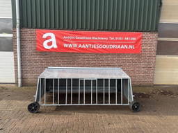 Lammeren voerplaats met overkapping