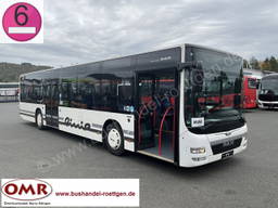 MAN A 37 Lion`s City