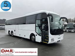 MAN R 09 Lions Coach C