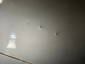 Ford Transit 260S 2.2 Tdci - Geen Vermogen - Schade 8 thumbnail