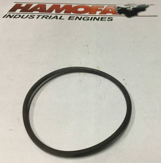 Volvo O-Ring 13975675 NEW 1