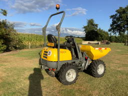 WACKER NEUSON 1001 910 uur.