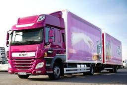 DAF CF 450