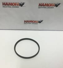 Steyr Platte O-Ring 161200070701 NEW
