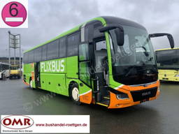 MAN 10 R Lions Coach