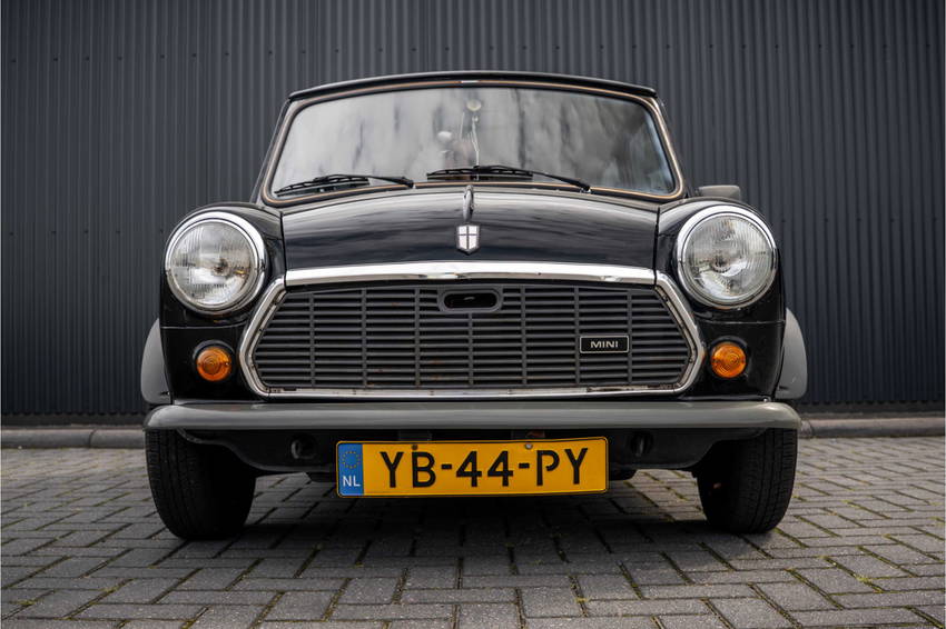 MINI 1000 E K9 | 4-Zits 23