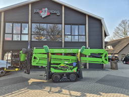 Overige Leguan 265