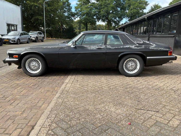 Jaguar XJS 2