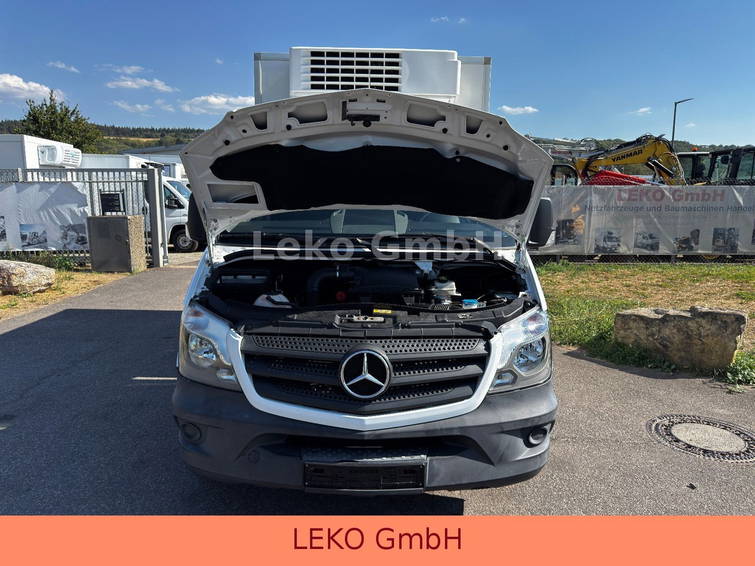 Mercedes-Benz Sprinter 313 Mit Thermoking V-500 MAX 14