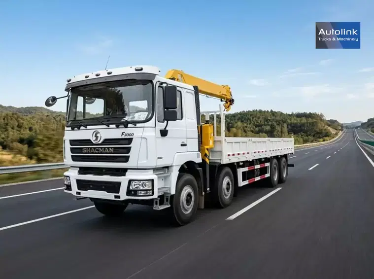 Diversen F3000 Camion grue 3