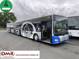 MAN A 23 Lions City