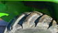 Merlo P40.16 K 5 thumbnail