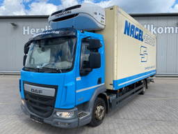 DAF LF 230 | Thermo-King T-800RDiesel/NetzRolltor