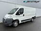 Fiat Ducato 08.2028 Kasten kurz+flach 101 PS 1 thumbnail