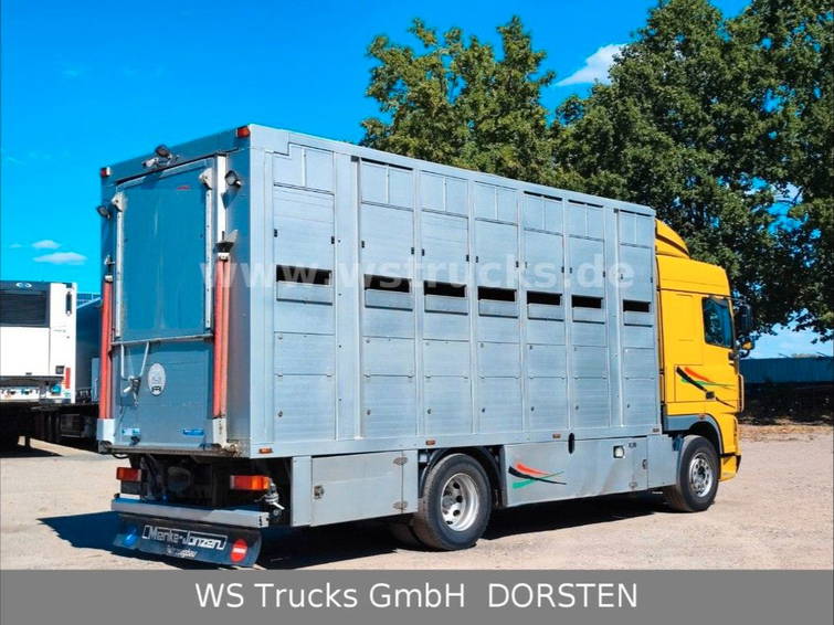 DAF XF 410 SC Menke Doppelstock 13