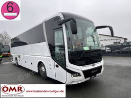 MAN R07 Lions Coach