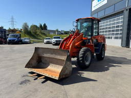 Terex TL70 SWS Gabel Schaufel