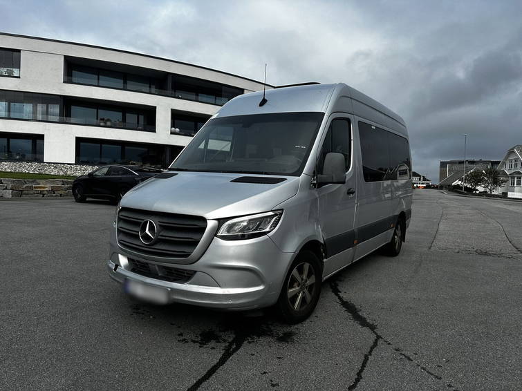 Mercedes-Benz Sprinter 316 316cdi 9 Seats 2x Wheelchairs Ramp 6