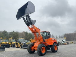 Doosan DL250
