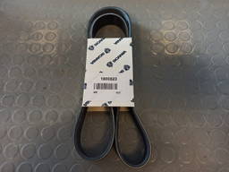 Scania Poly-V-Belt - 1800521