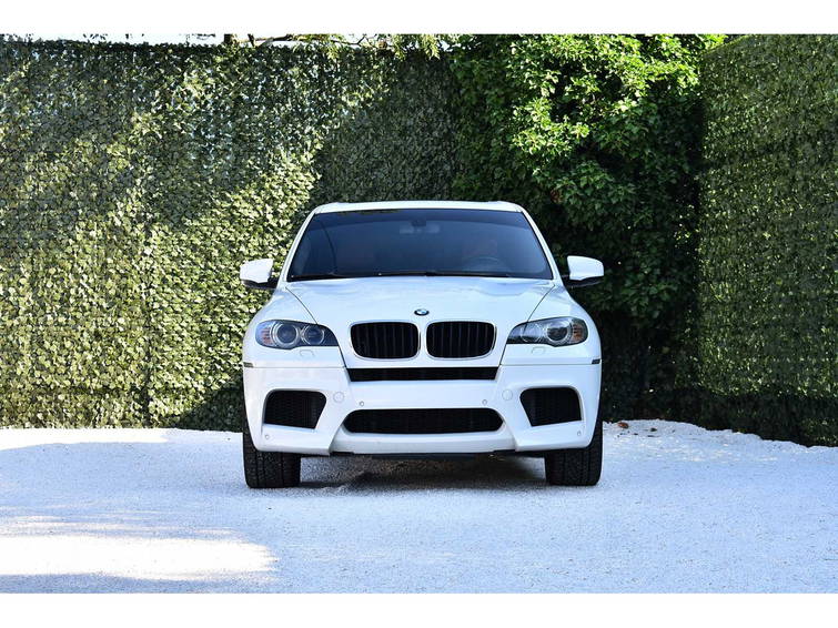 BMW X5 M 4,4 liter Twin-Turbo V8, 555 PK 7