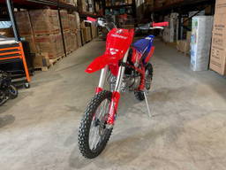 Ultra Motocross Thunder 125 BL