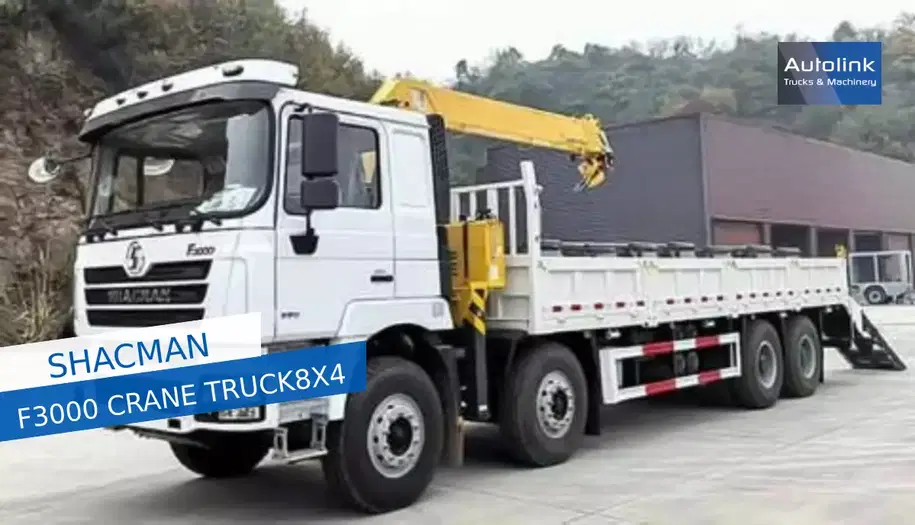 Diversen F3000 Camion grue 1